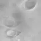 mushroom spore image